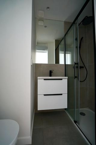 Charmant studio duplex avec jardin privatif , Lille