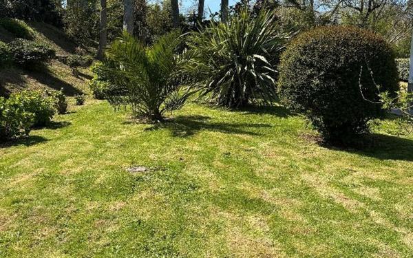 Maison à vendre    7 pièces •  Audierne