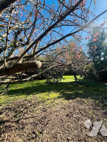 124 m², 3 chambres, grenier aménageable.
Dépendance, jardin 1 146 m² sud-ouest.