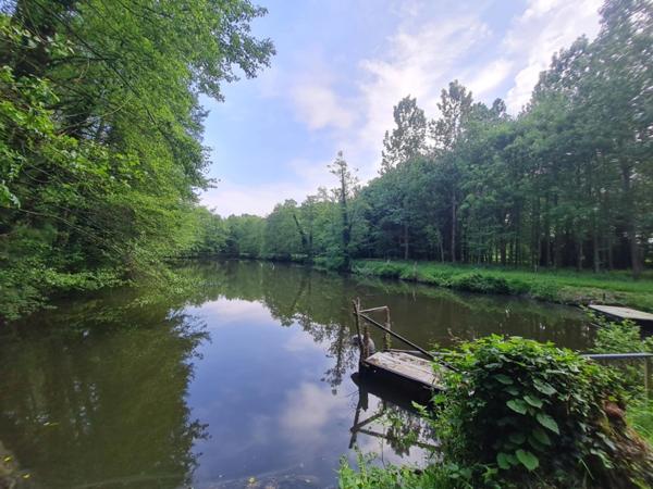 Fôret avec étang à Craon