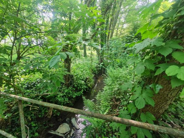 Fôret avec étang à Craon