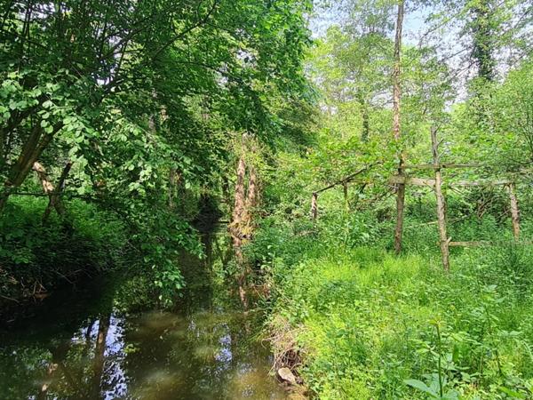 Fôret avec étang à Craon