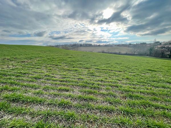 Terrain L Isle Jourdain 575 m²