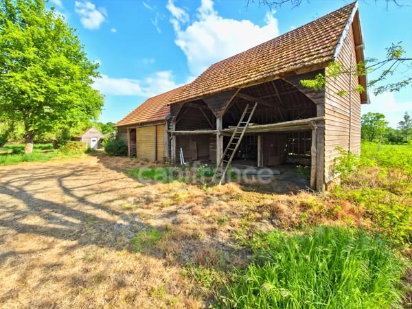 Grande longère à rénover avec dépendances, à Changé (72)