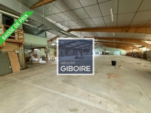 Local d'activites 2400 m² à vendre BEDEE (réf : 35.6717)