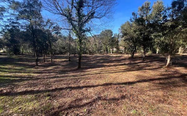 Terrain à vendre    Labenne