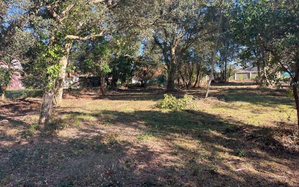 Terrain à vendre    Labenne