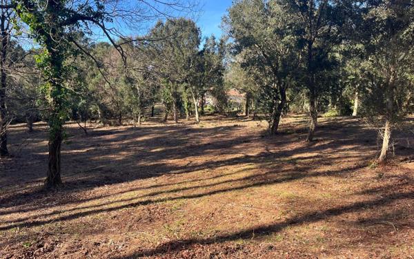 Terrain à vendre    Labenne