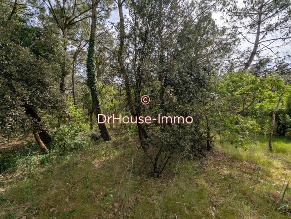 Terrain à vendre de 17 359 m²