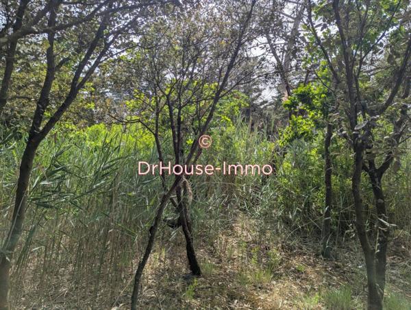 Terrain à vendre de 17 359 m²