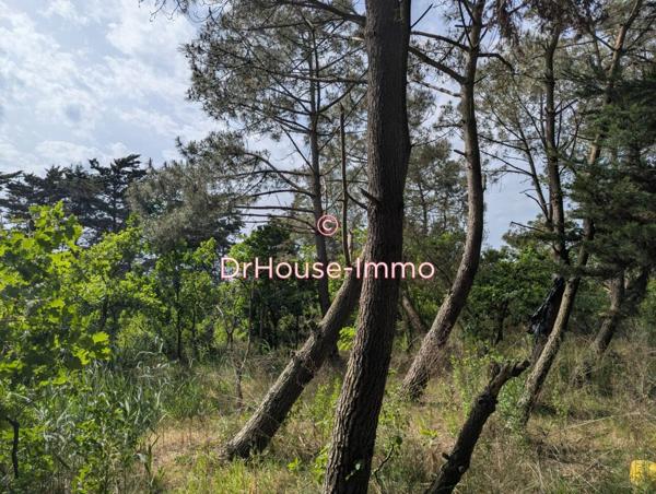 Terrain à vendre de 17 359 m²
