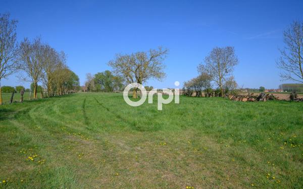 Maison à vendre    10 pièces • 314 m2 Houplines