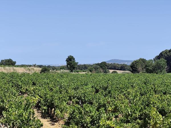 Terrain agricole, avec eau, 4800€