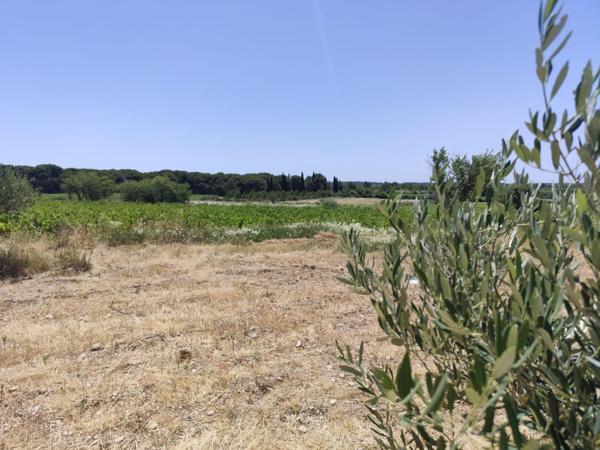Terrain agricole, avec eau, 4800€