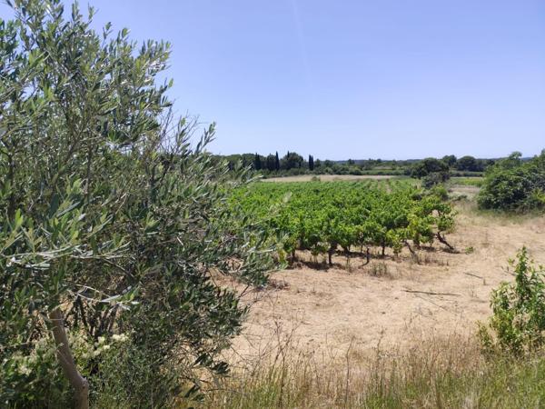 Terrain agricole, avec eau, 4800€