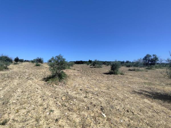 Terrain agricole, avec eau, 4800€