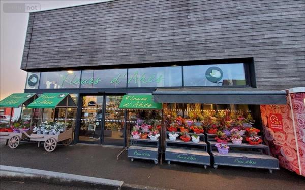 Fonds de commerce à vendre à Carhaix-Plouguer dans le Finistère (29270), ref : 29066-1033515