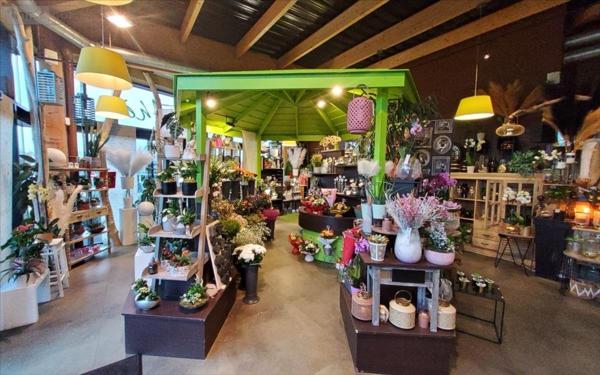 Fonds de commerce à vendre à Carhaix-Plouguer dans le Finistère (29270), ref : 29066-1033515