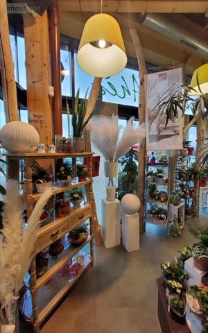 Fonds de commerce à vendre à Carhaix-Plouguer dans le Finistère (29270), ref : 29066-1033515