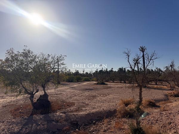 À vendre terrain au coeur du triangle d'or de la Palmeraie à Marrakech