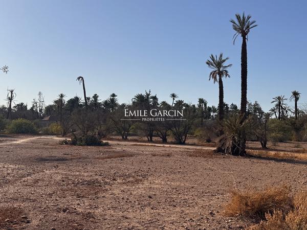 À vendre terrain au coeur du triangle d'or de la Palmeraie à Marrakech