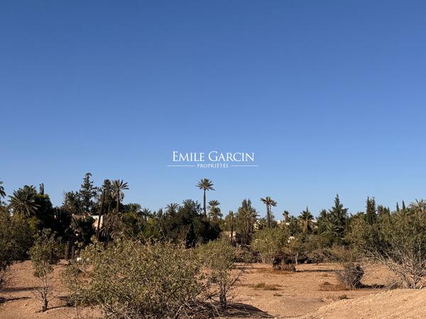 À vendre terrain au coeur du triangle d'or de la Palmeraie à Marrakech