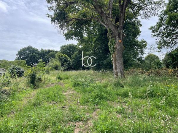 SARZEAU Terrain 769 m²