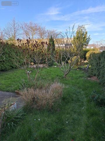 Maison à vendre à Bourbourg dans le Nord (59630), ref : MAIS00819