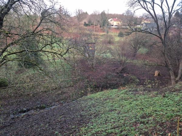 Offrez-vous un coin de nature et imaginez la maison de vos rêves sur ce beau terrain au cœur d’un environnement préservé !