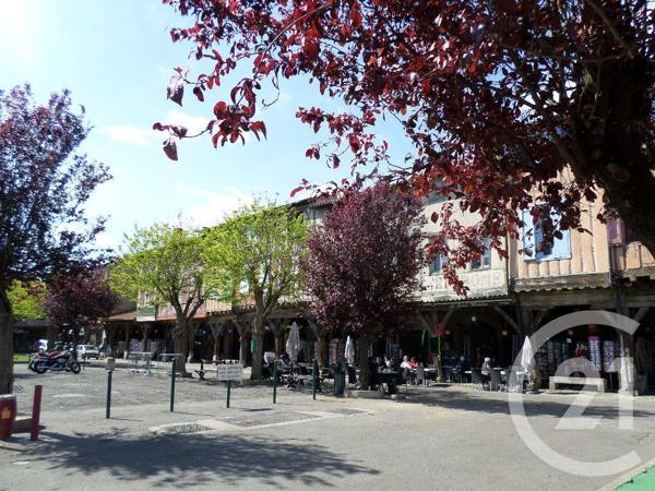 Terrain à vendre  4800 m2 MIREPOIX - 09