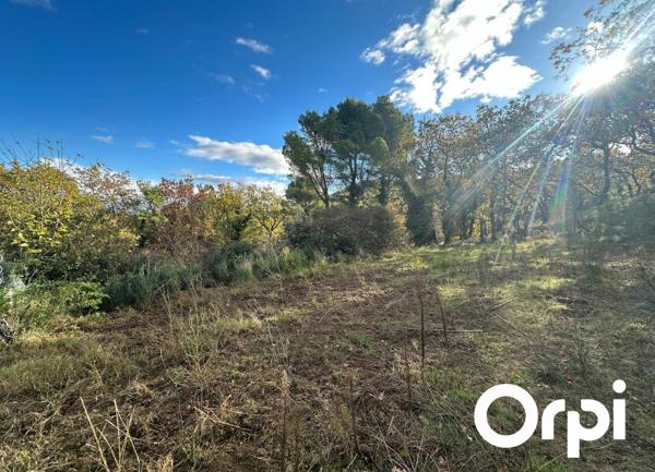 Terrain à vendre    4 528 m2 Saint-Paul-Trois-Châteaux