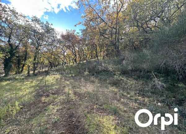 Terrain à vendre    4 528 m2 Saint-Paul-Trois-Châteaux