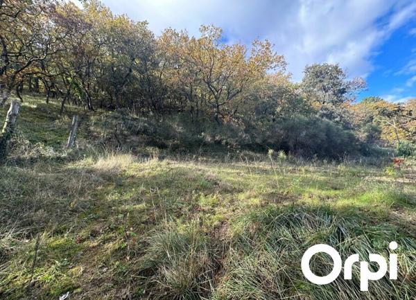 Terrain à vendre    4 528 m2 Saint-Paul-Trois-Châteaux