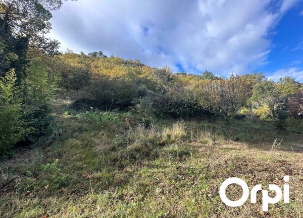 Terrain à vendre    4 528 m2 Saint-Paul-Trois-Châteaux