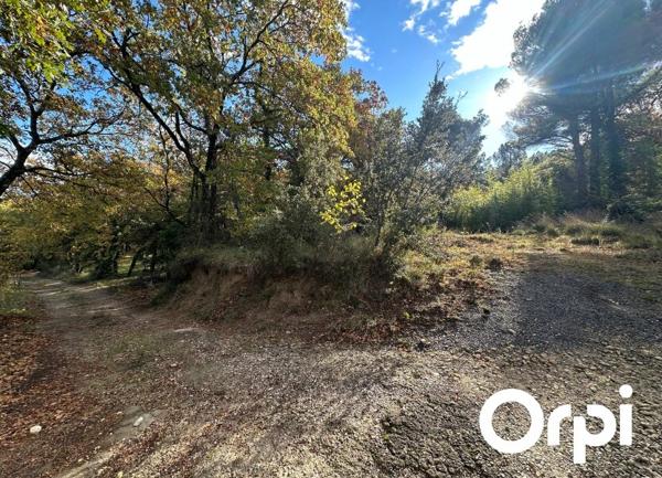 Terrain à vendre    4 528 m2 Saint-Paul-Trois-Châteaux