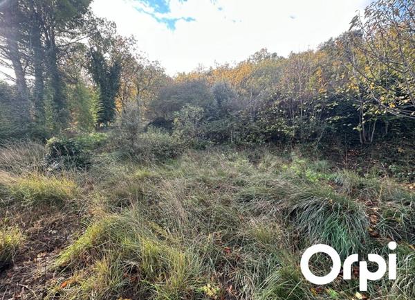 Terrain à vendre    4 528 m2 Saint-Paul-Trois-Châteaux