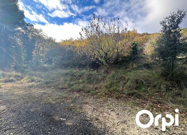 Terrain à vendre    4 528 m2 Saint-Paul-Trois-Châteaux