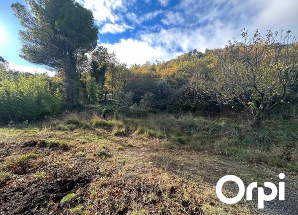 Terrain à vendre    4 528 m2 Saint-Paul-Trois-Châteaux