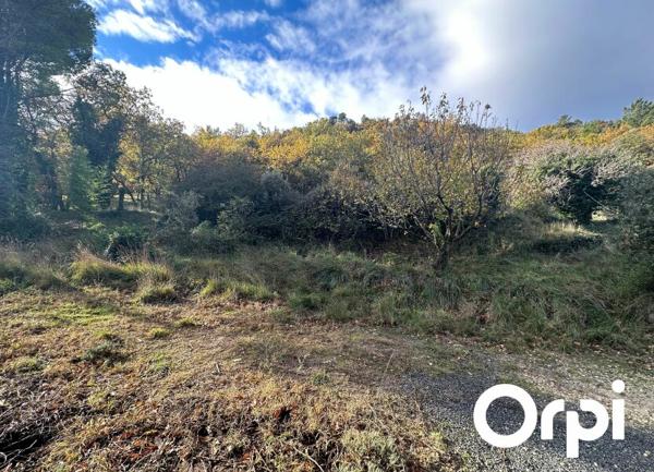 Terrain à vendre    4 528 m2 Saint-Paul-Trois-Châteaux