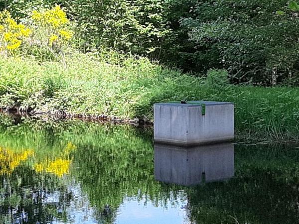 Etang  9268 m2 plateau des mille étangs