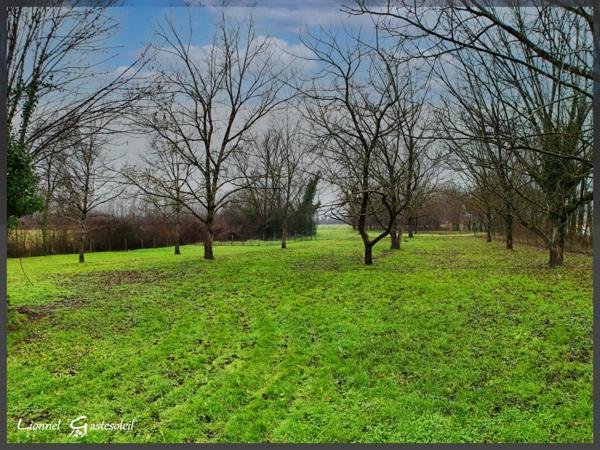 Maison 7 pièces 4 chambres en pierre Beaux volumes, grand terrain, fort potentiel à SAINT ANTOINE DE BREUILH (24)