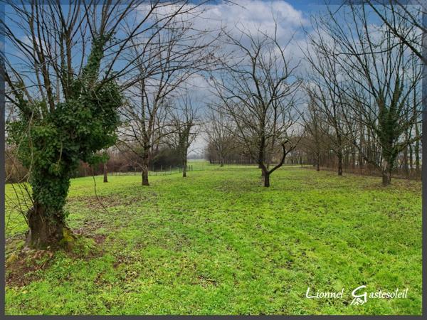 Maison 7 pièces 4 chambres en pierre Beaux volumes, grand terrain, fort potentiel à SAINT ANTOINE DE BREUILH (24)