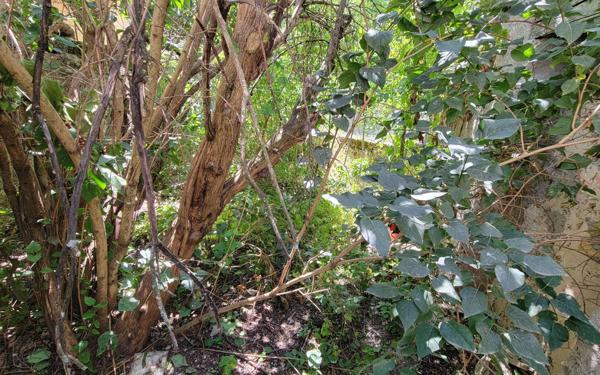 Maison à vendre    3 pièces •  Lachau