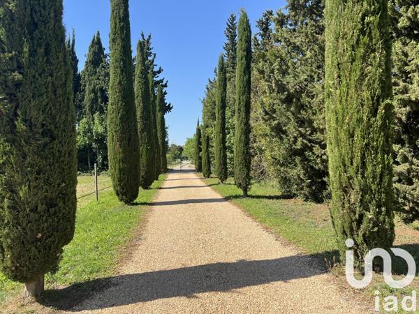 Maison à vendre 8 pièces 243 m² Châteaurenard