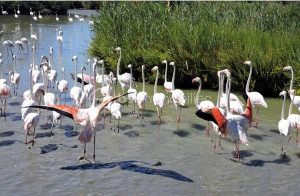 Maison de ville de 78 m²