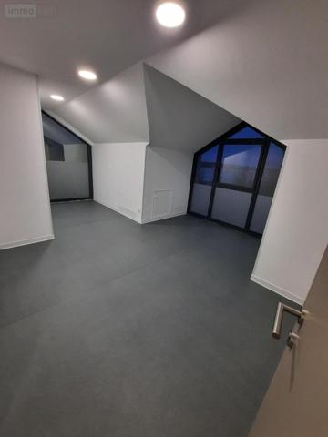 Fonds et/ou murs commerciaux à louer à Dole dans le Jura (39100), ref : 39033-L511