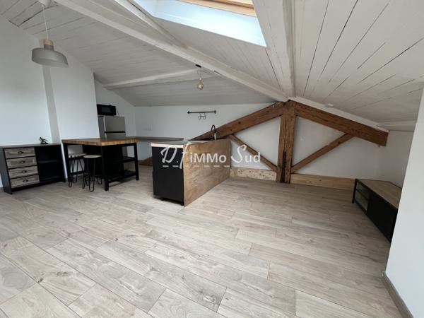 Appartement 1 pièce(s) 1 chambre(s) 29 m²