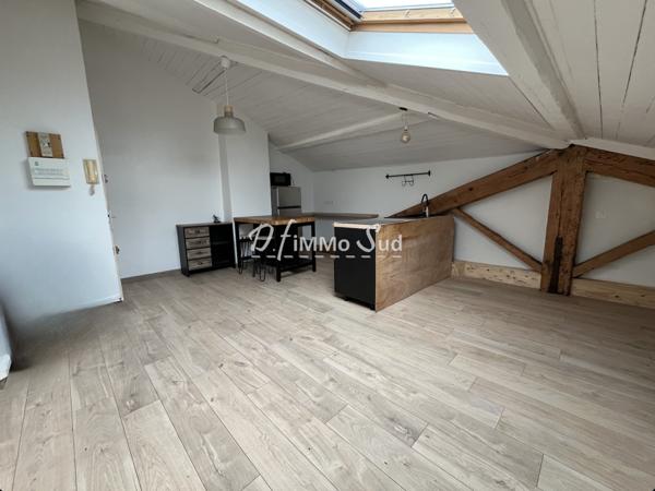 Appartement 1 pièce(s) 1 chambre(s) 29 m²