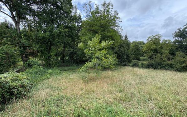 Maison à vendre    6 pièces •  Brigueil-le-Chantre