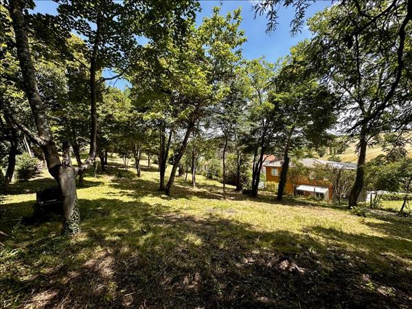 Terrain à vendre |  Montastruc-la-Conseillère |  800 m²